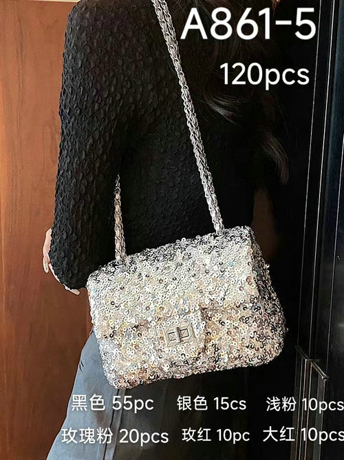 Cartera brillo (A861)